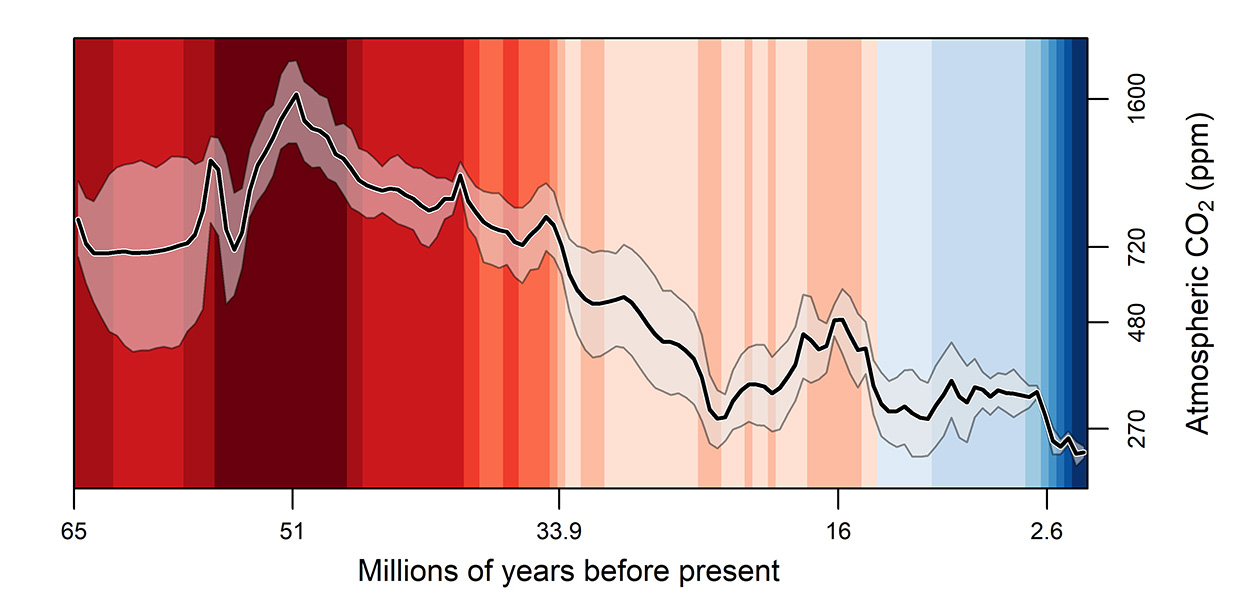 CO2-Konzentration über 66 Millionen Jahre kartiert