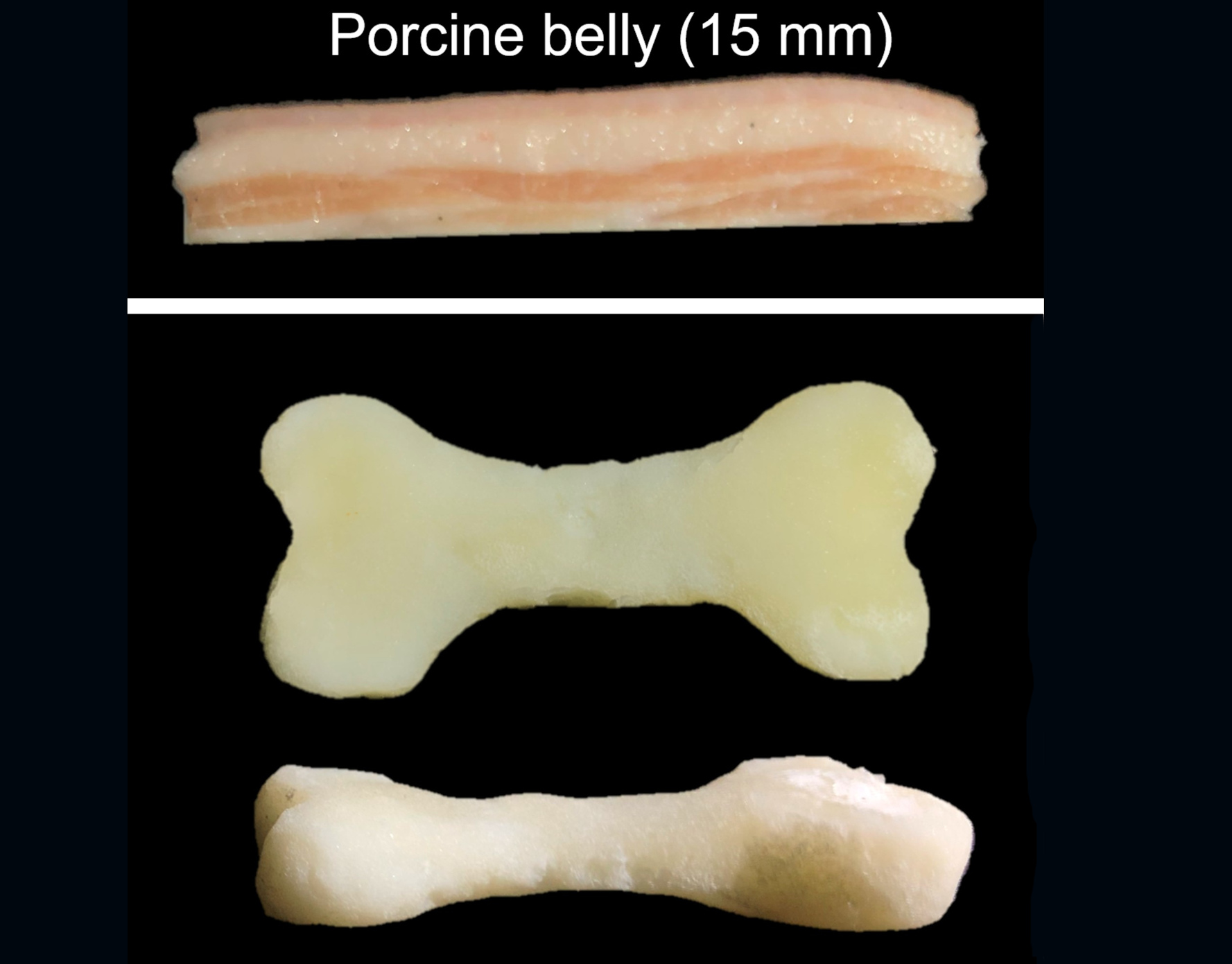 Ultraschall-Verfahren könnte 3D-Druck im Körper ermöglichen