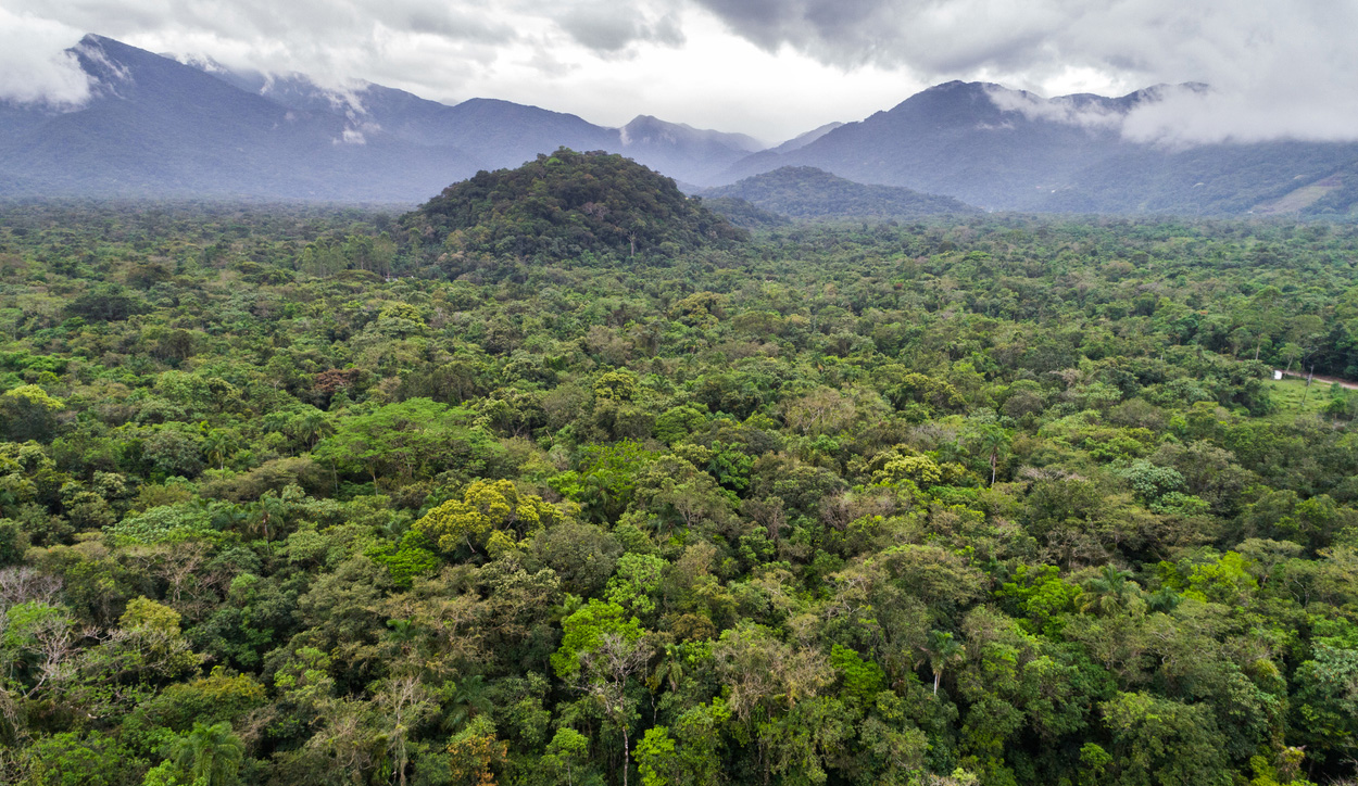 Urbanismus am Amazonas schon vor 2500 Jahren