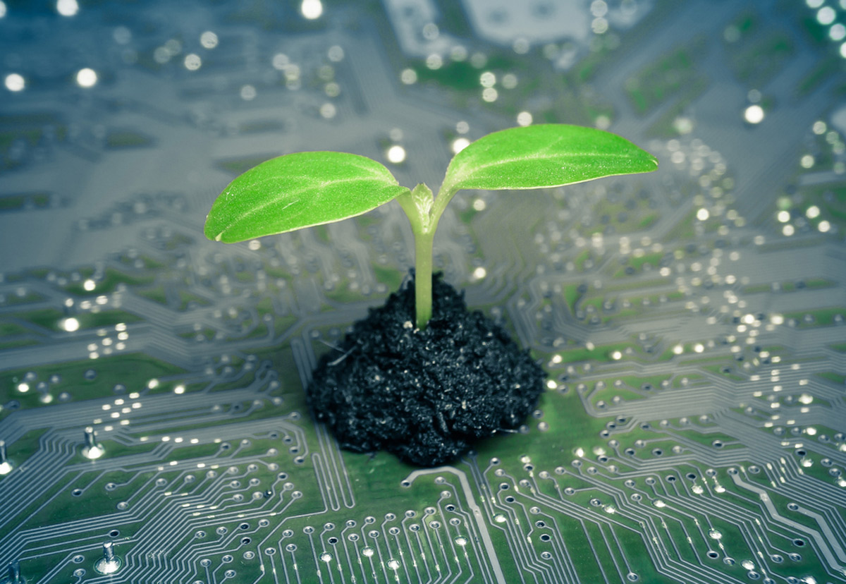 Hilft die Digitalisierung der Umwelt?