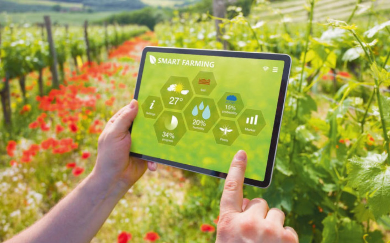 Künstliche Intelligenz und die Natur
