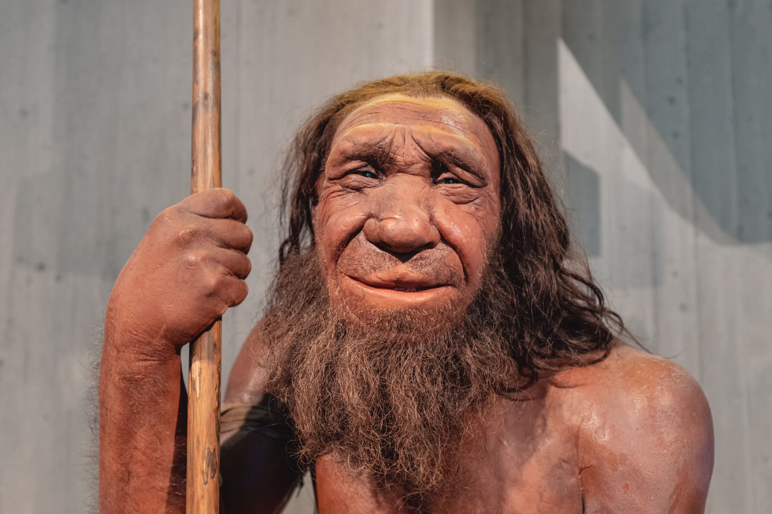 Was übrig blieb von Doggerland