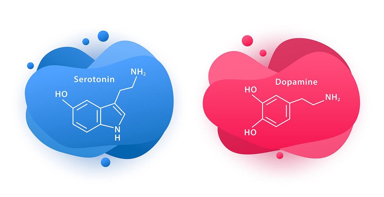 Wie die Gehirnchemie unser Sozialverhalten prägt