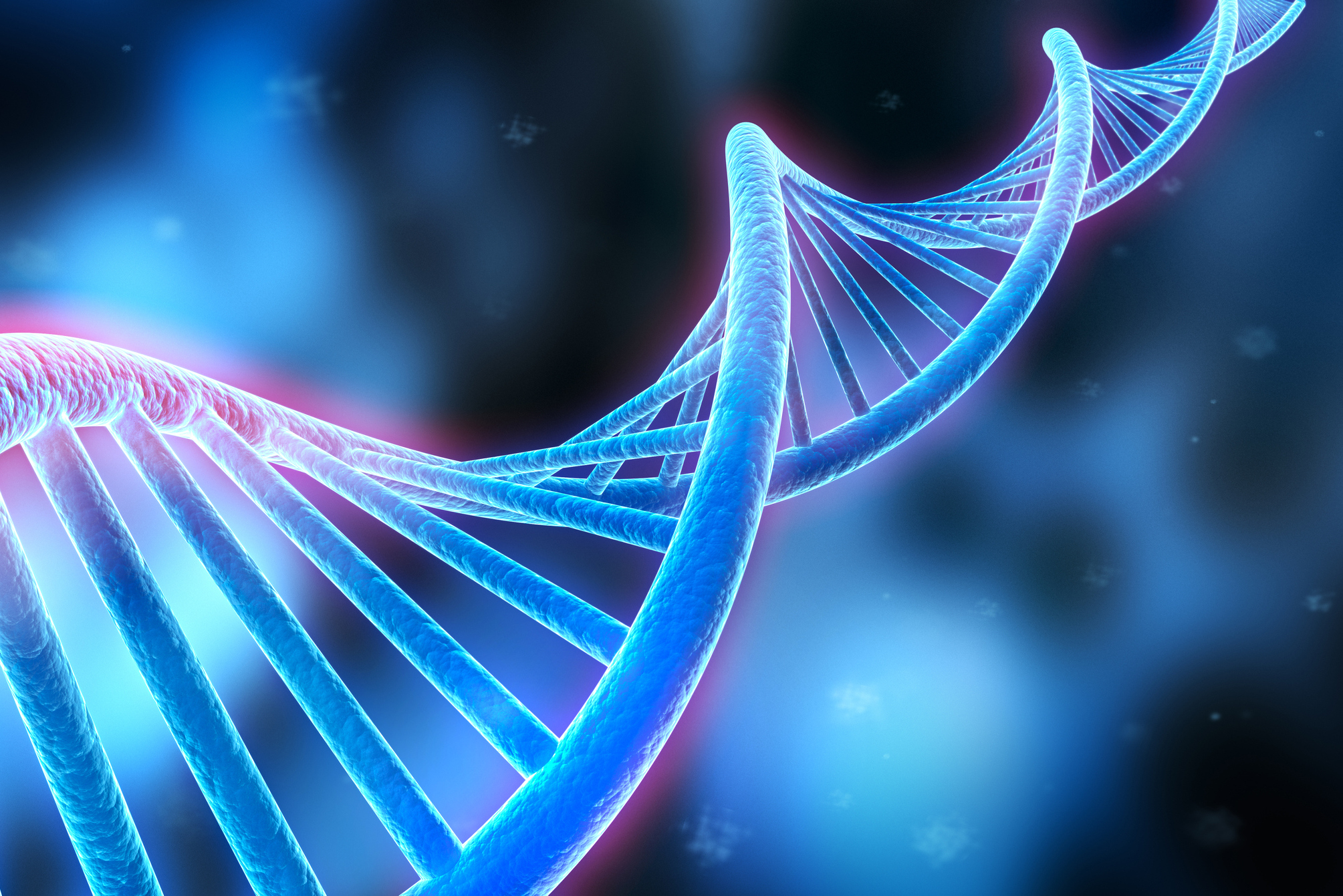 Horizontale Übertragung eines ganzen Chromosoms nachgewiesen