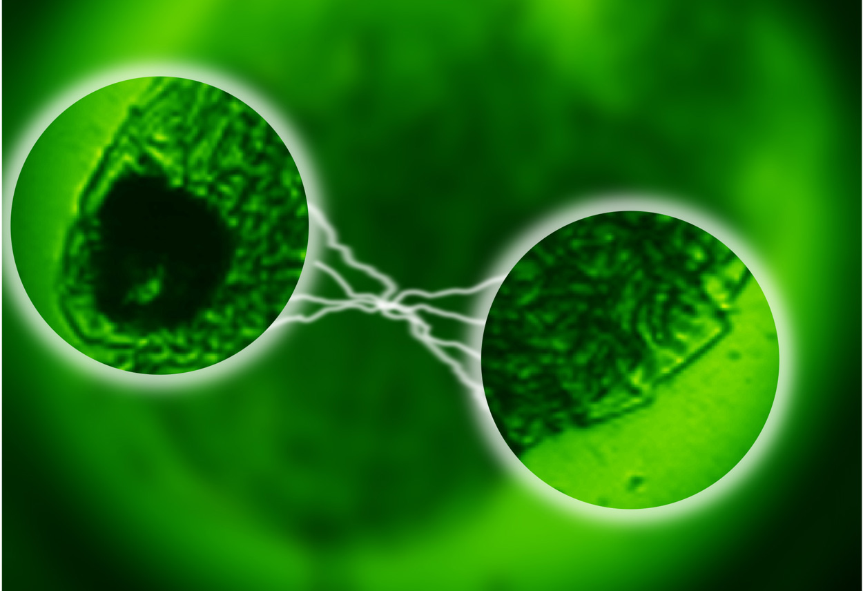 Neuer Ansatz in der Quantenmikroskopie