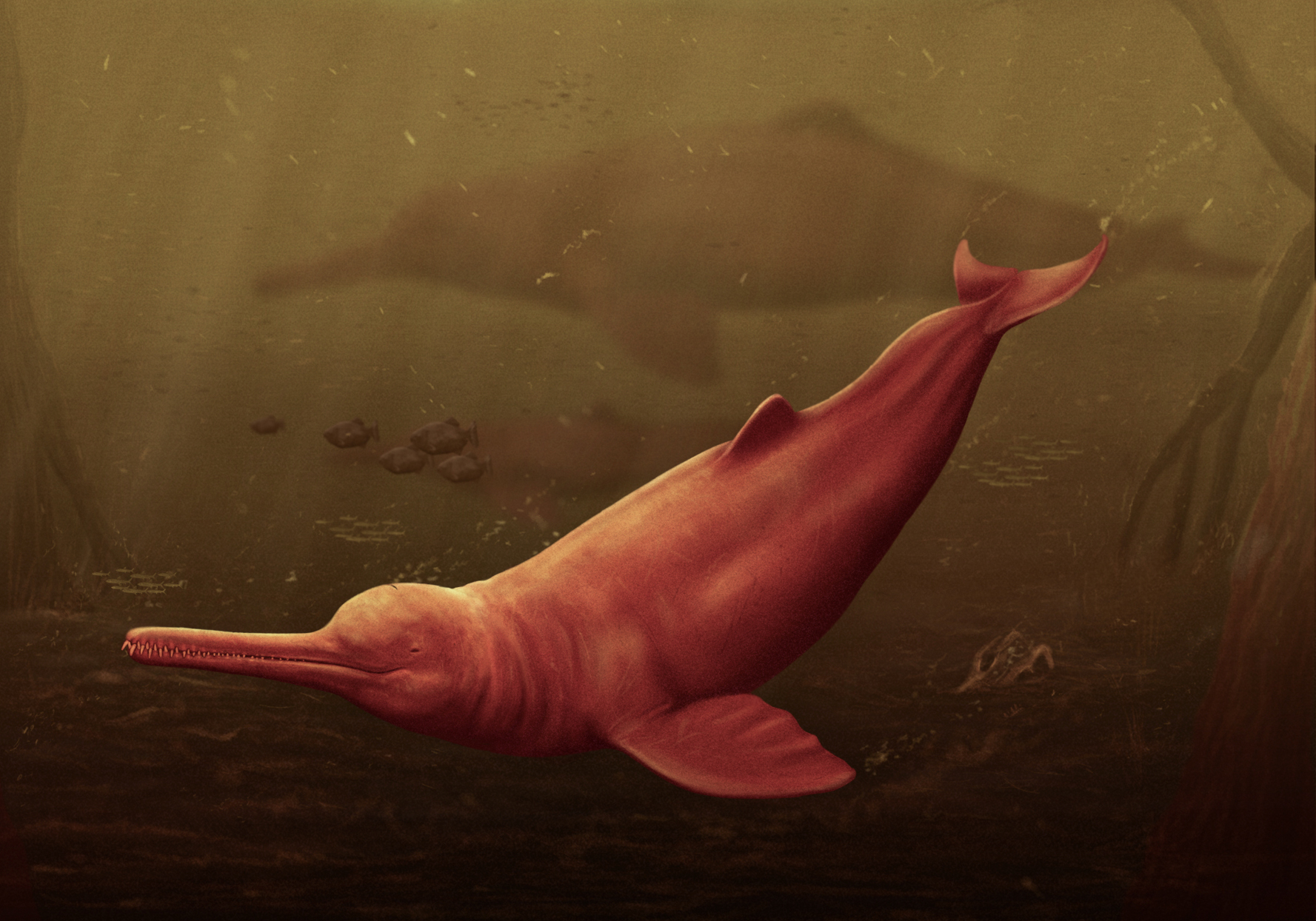 Urzeit-Flussdelfin mit erstaunlicher Verwandtschaft entdeckt