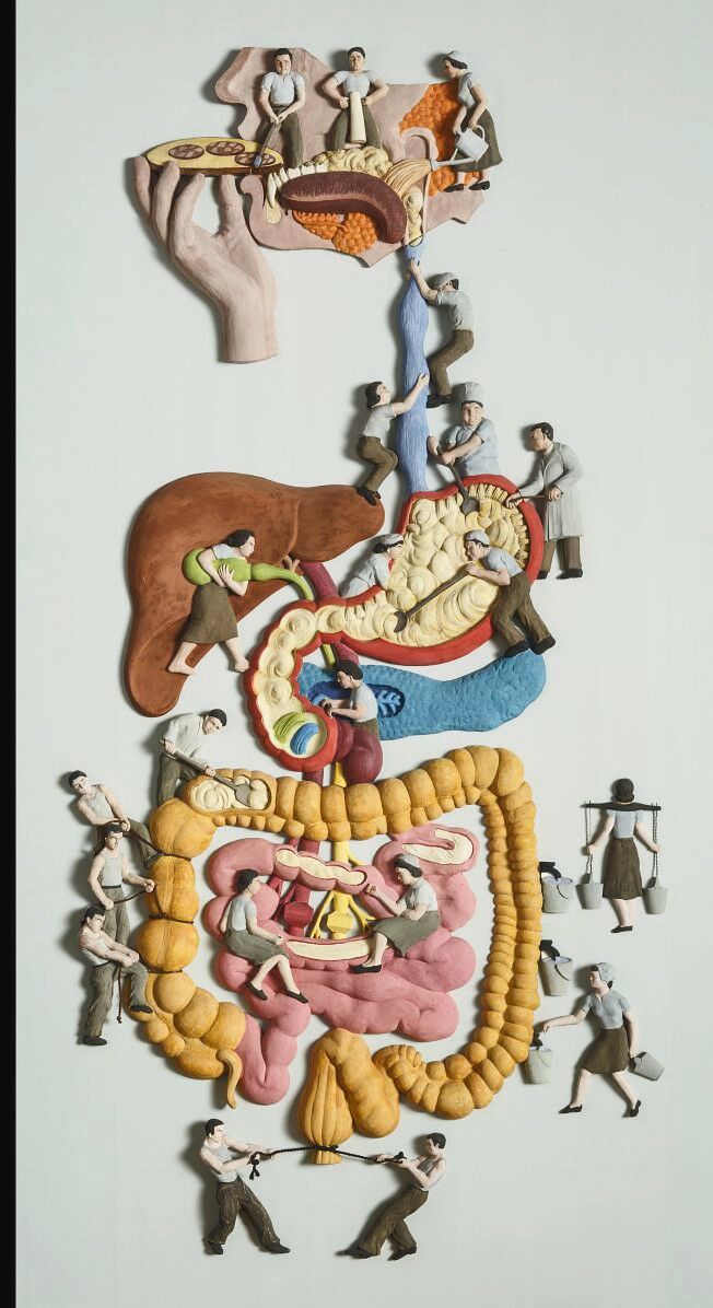 Das Hygiene-Museum blickt auf seine DDR-Zeit