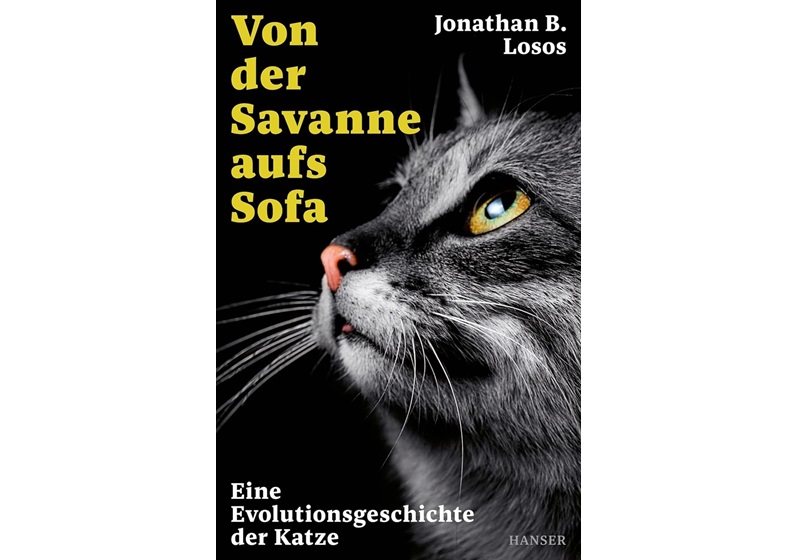 Katzen und ihre Vorfahren