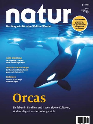 Orcas