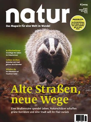 Alte Straßen, neue Wege