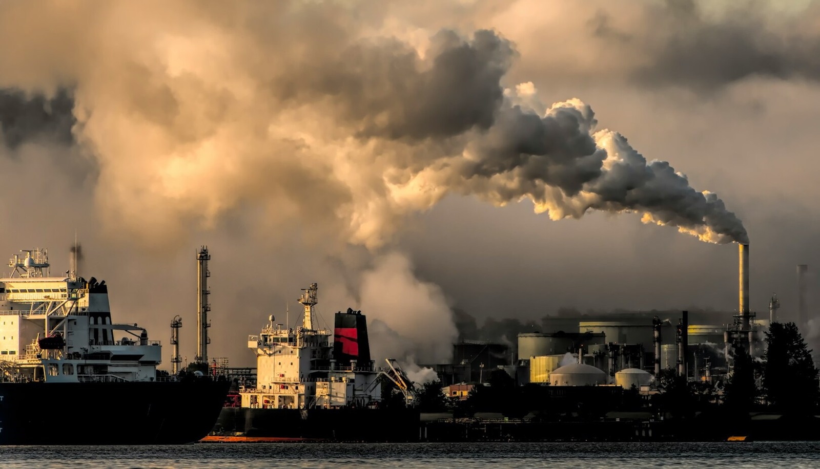 Klimalotterien gegen den Klimawandel