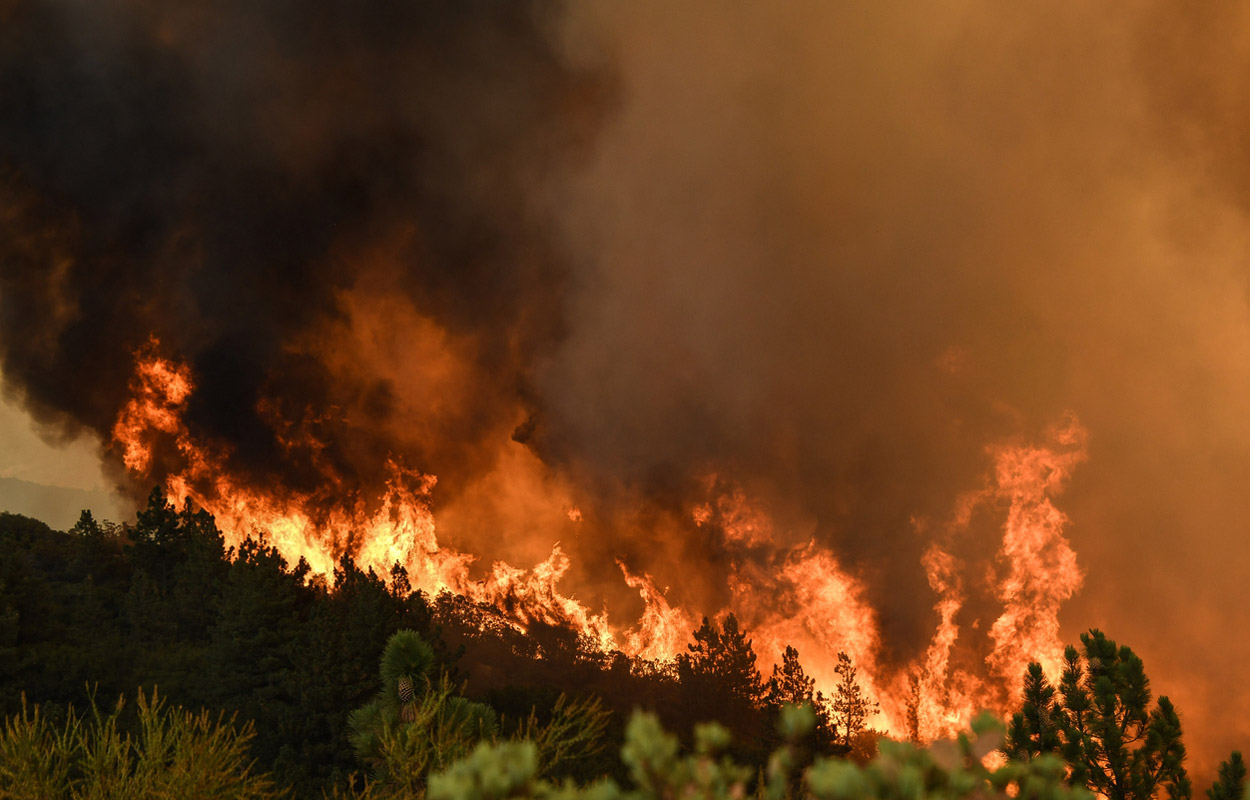 Wie große Waldbrände weitere Feuer begünstigen