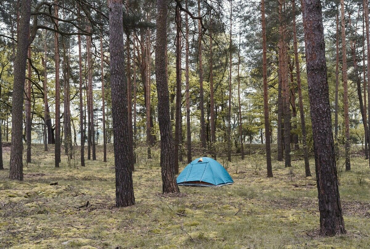 Wildcampen in Brandenburg