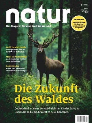 Die Zukunft des Waldes