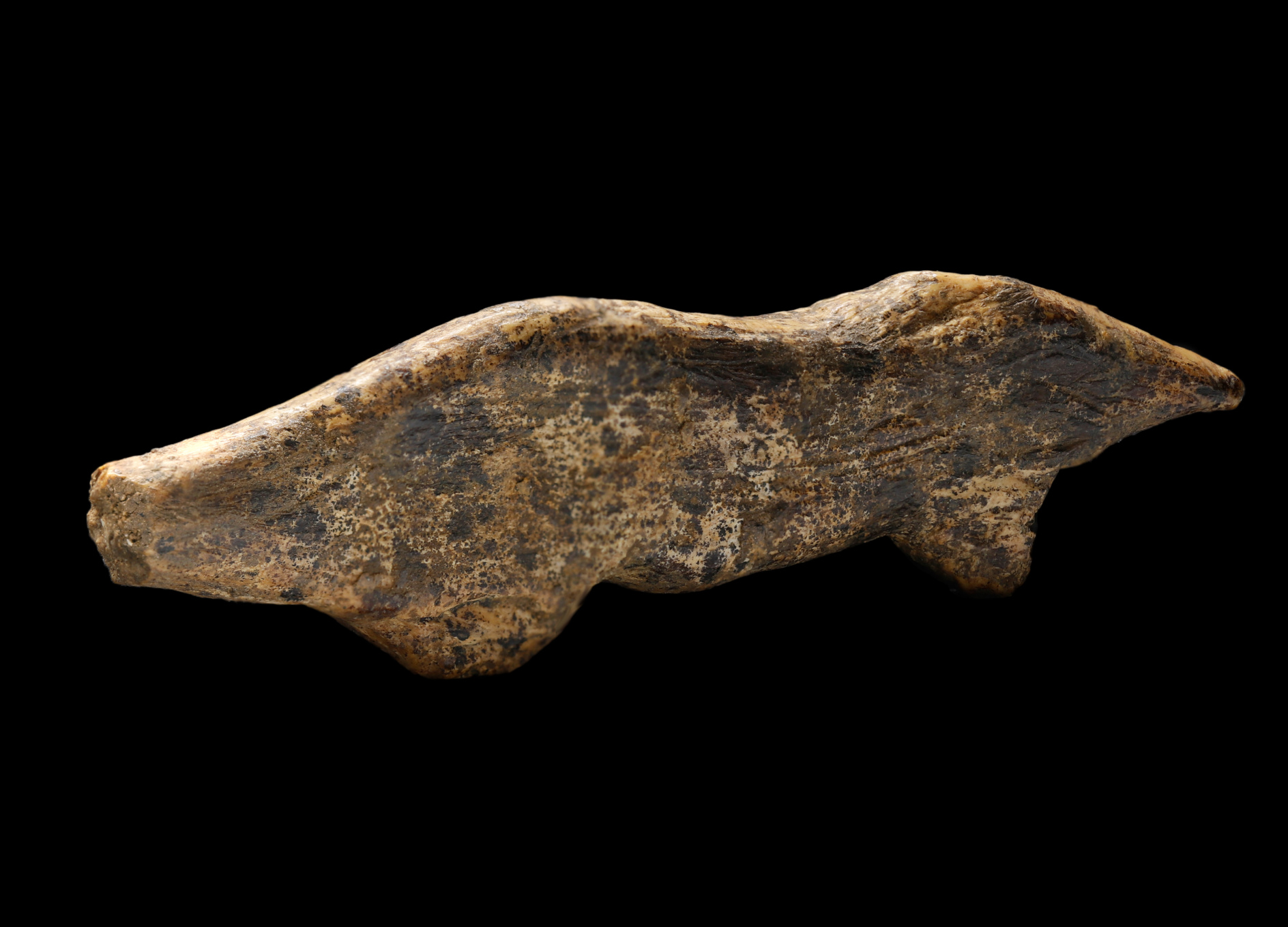 Ein Otter-Figürchen aus Mammutelfenbein?