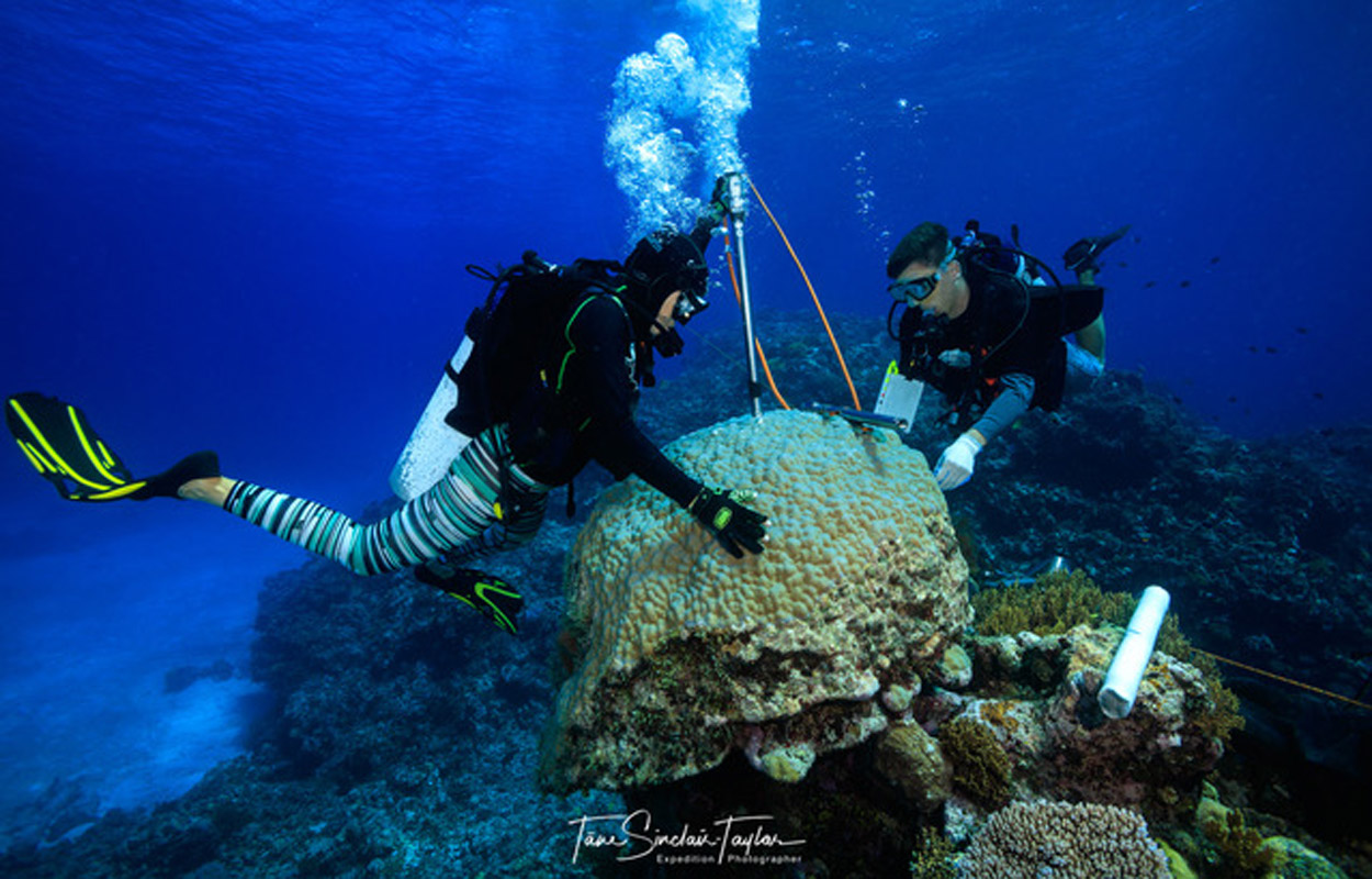 Temperaturen am Great Barrier Reef erreichen Jahrhundertrekord