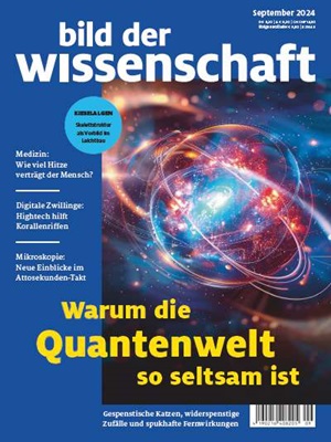 Warum die Quantenwelt so seltsam ist