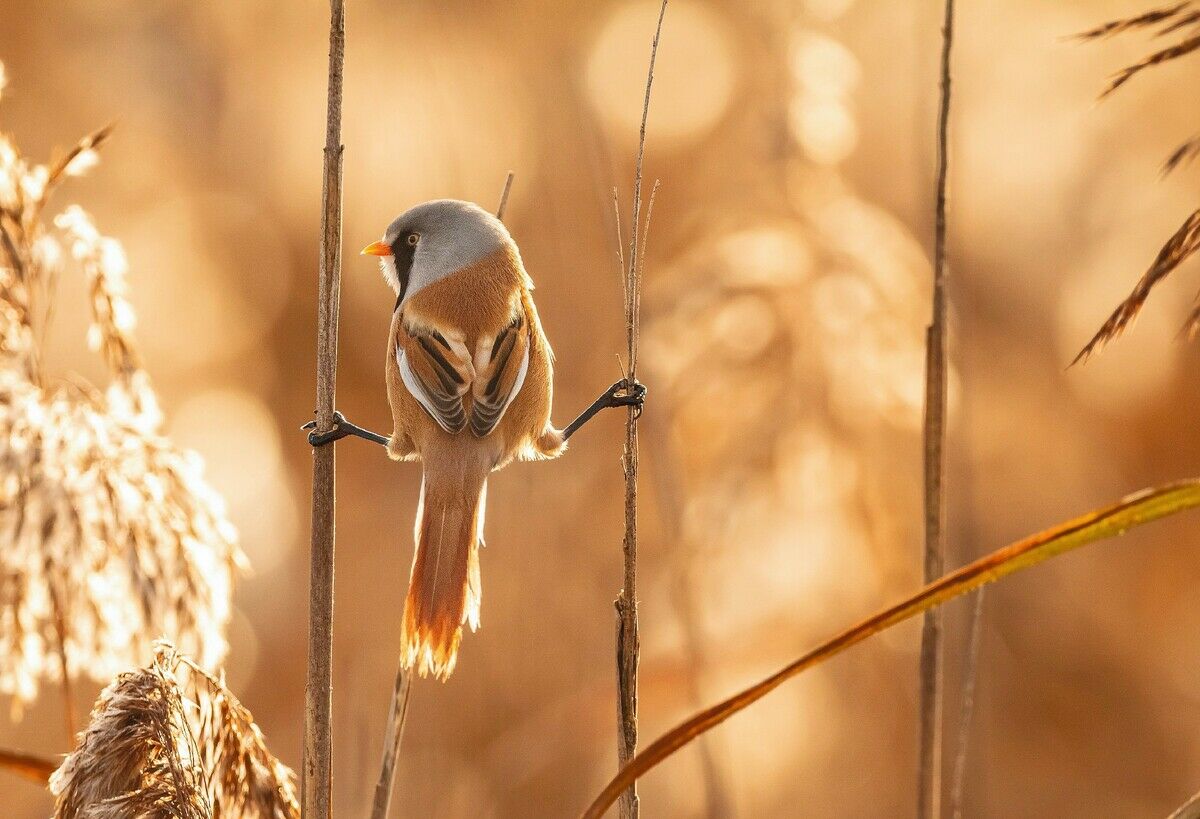 Die Natur im Blick