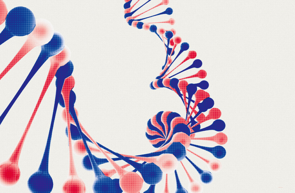 Erbsubstanz DNA