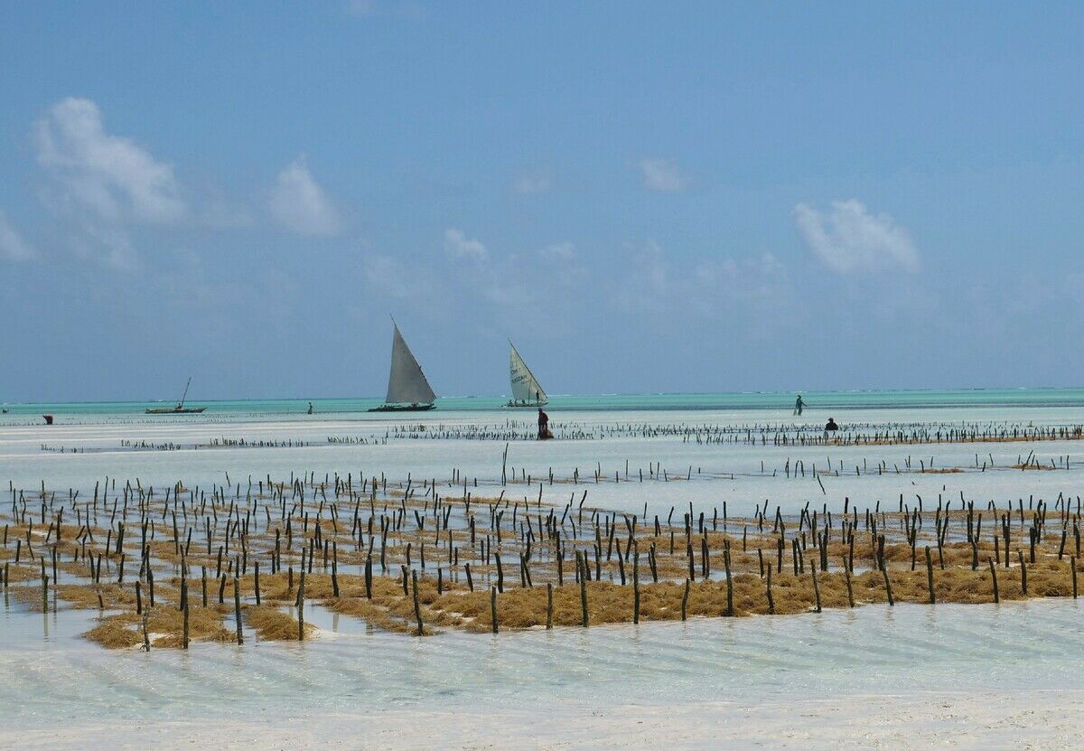 Klimawandel im Paradies