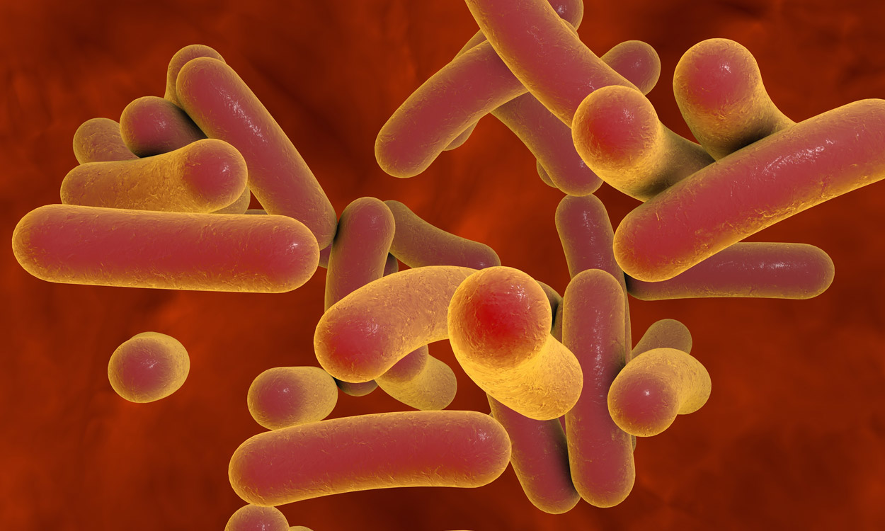 Millionen Tote infolge von Antibiotika-Resistenzen prognostiziert