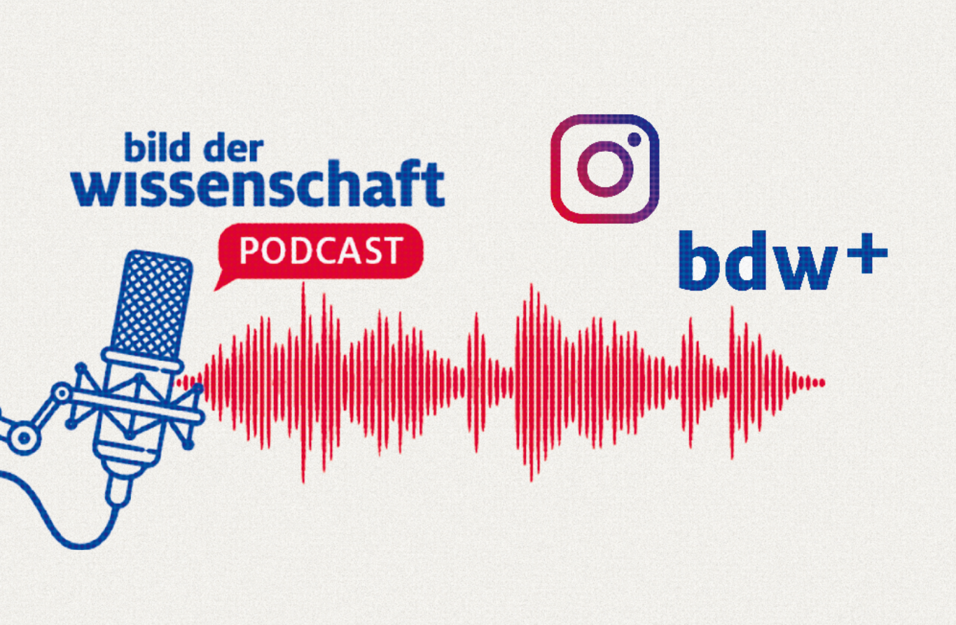Online, Social Media & Podcast