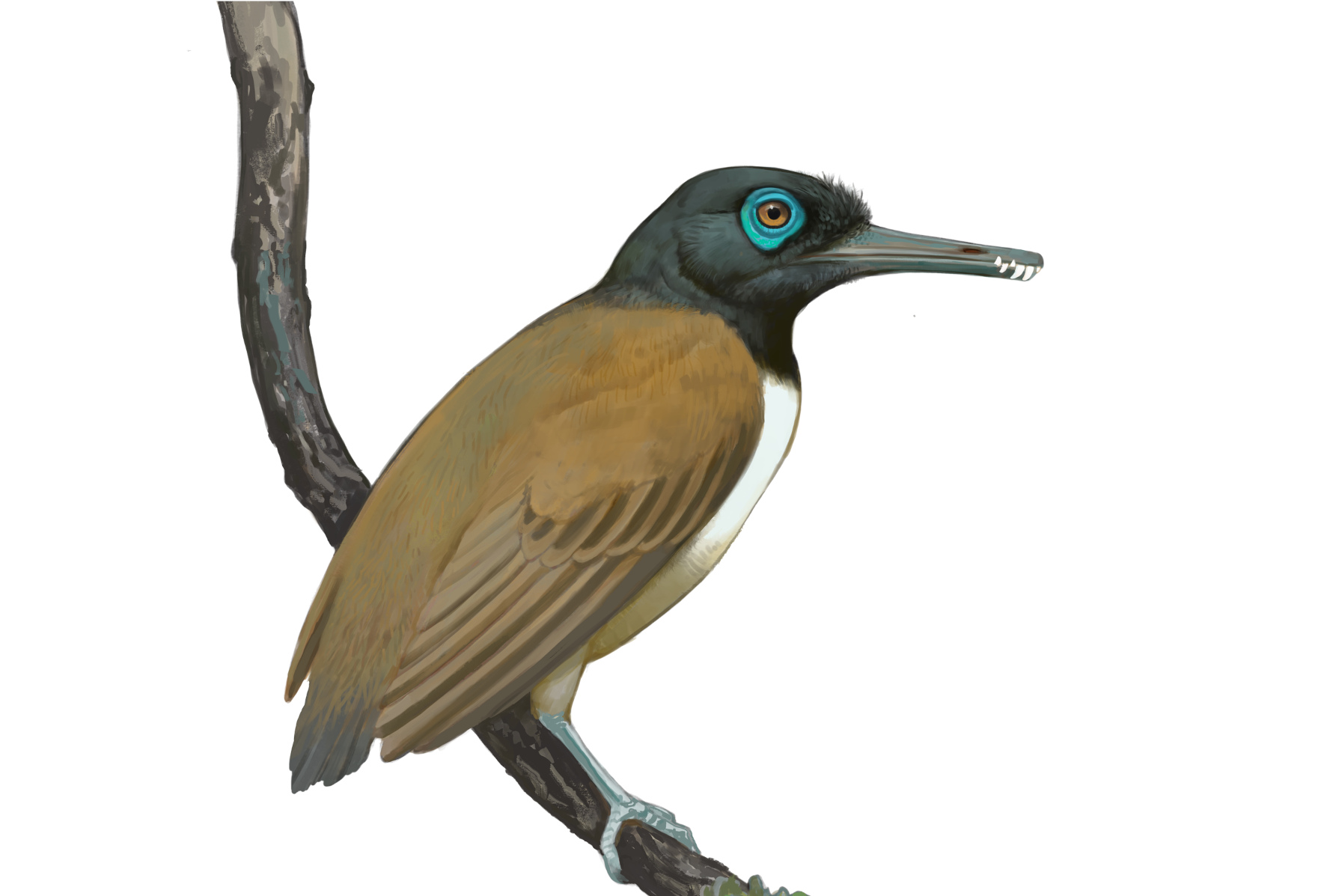 Überraschende Nahrung eines Urvogels