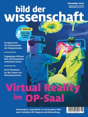 bild der wissenschaft 11-2024