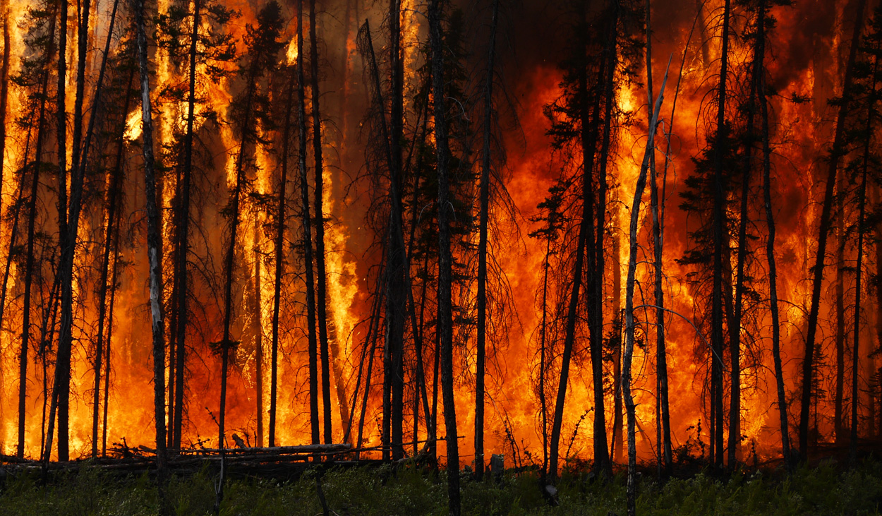CO2-Emissionen durch Waldbrände nehmen zu