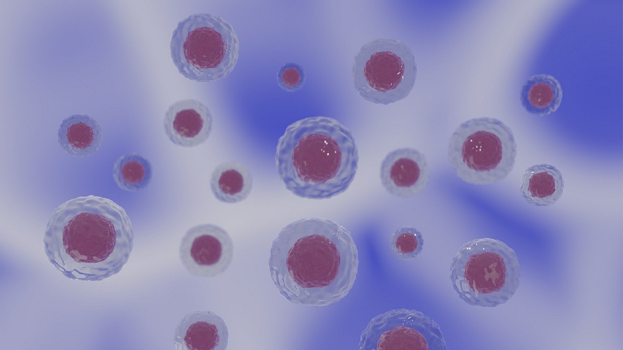 Die Bedeutung von Mikronährstoffen für die zelluläre Gesundheit eines Organismus