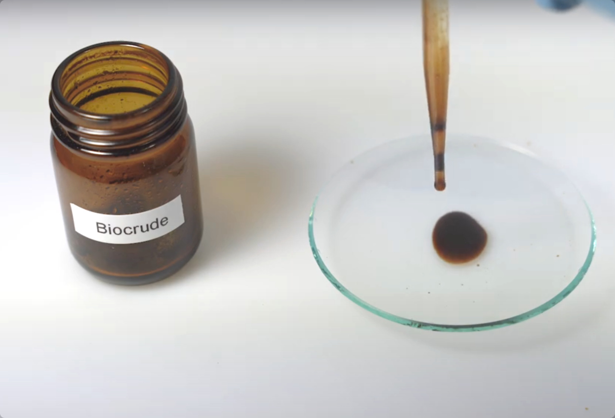 "Erdöl" aus Biomasse