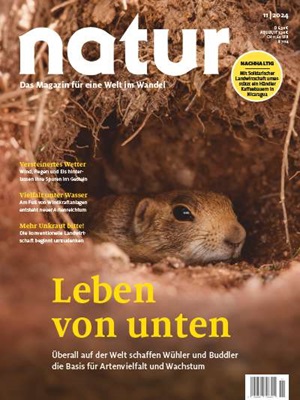 Leben von unten