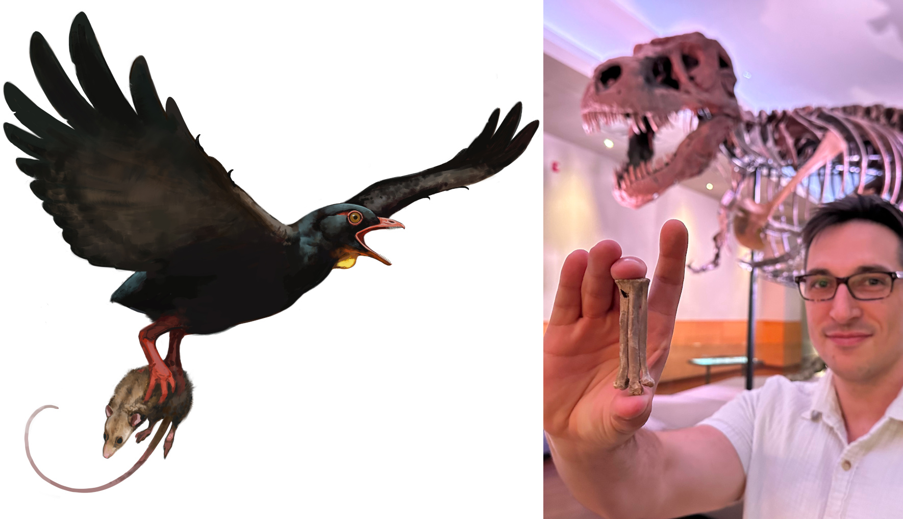 Raubvögel der Dino-Ära