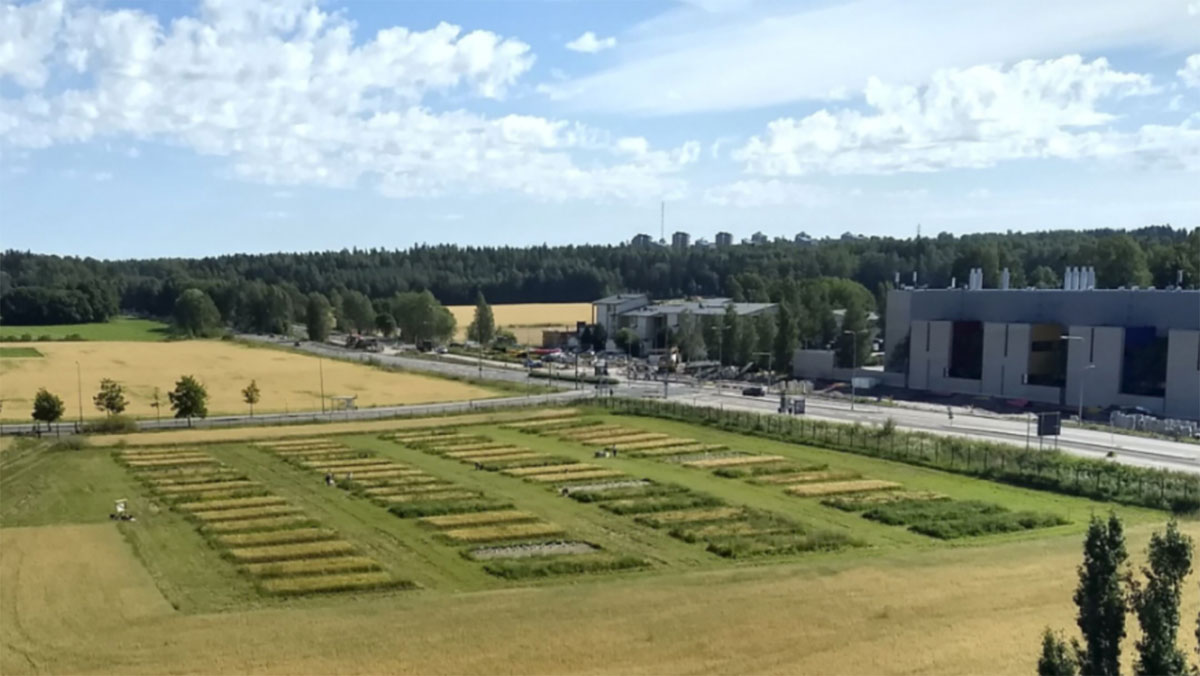 Vielfältige Äcker speichern mehr Kohlenstoff