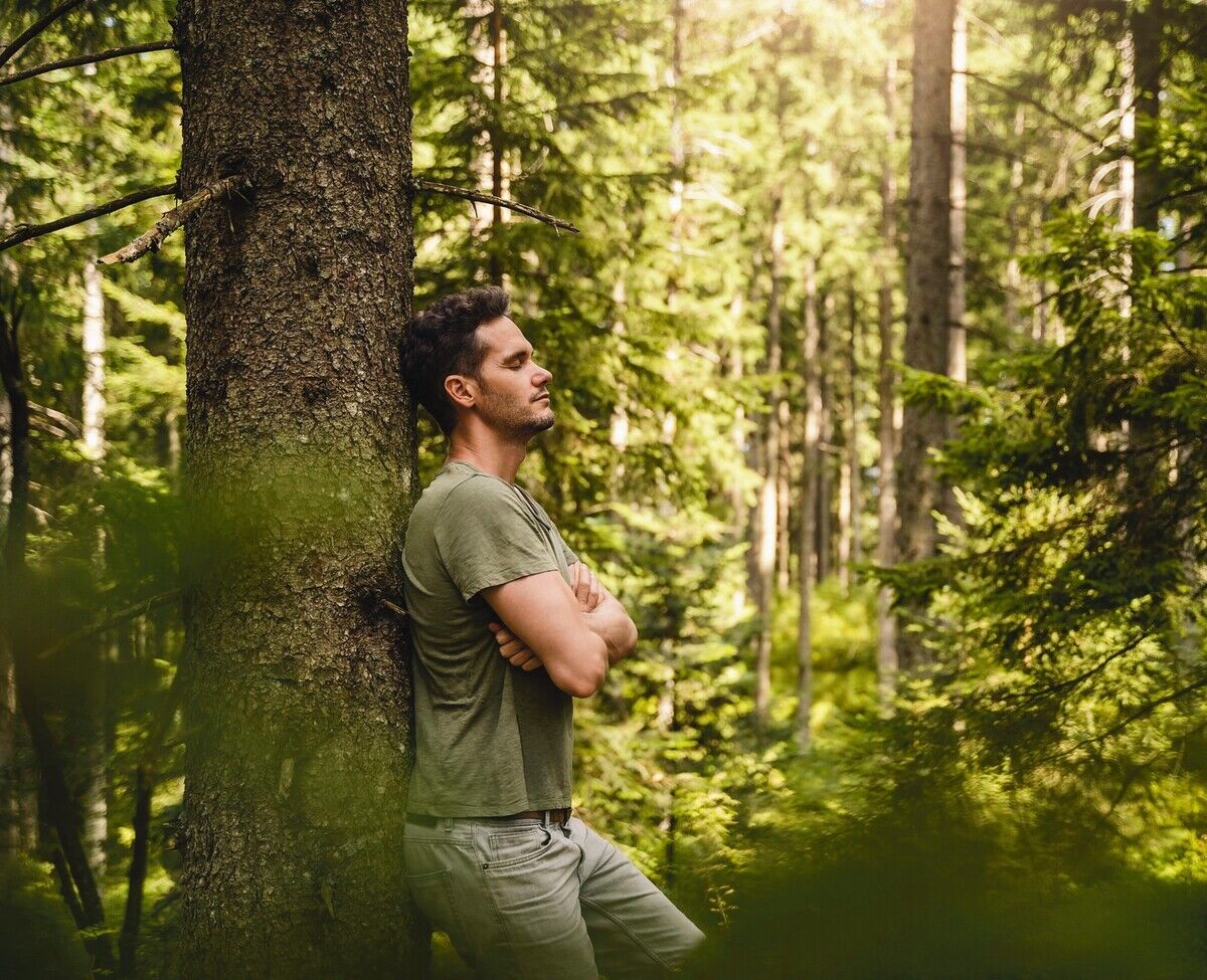 Aufatmen im Wald