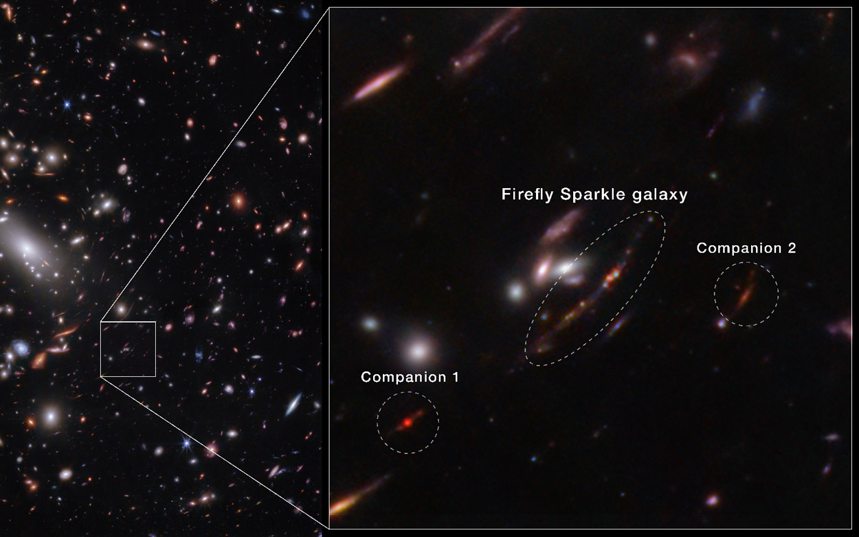 Was "Firefly Sparkle" über die frühe Milchstraße verrät