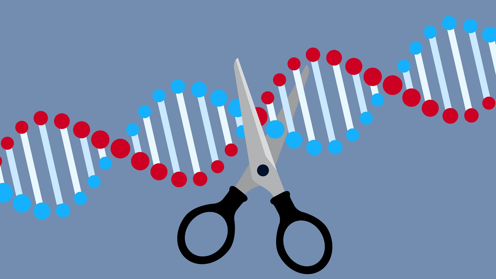 CRISPR und Haartransplantationen: Die Zukunft der Haarmedizin