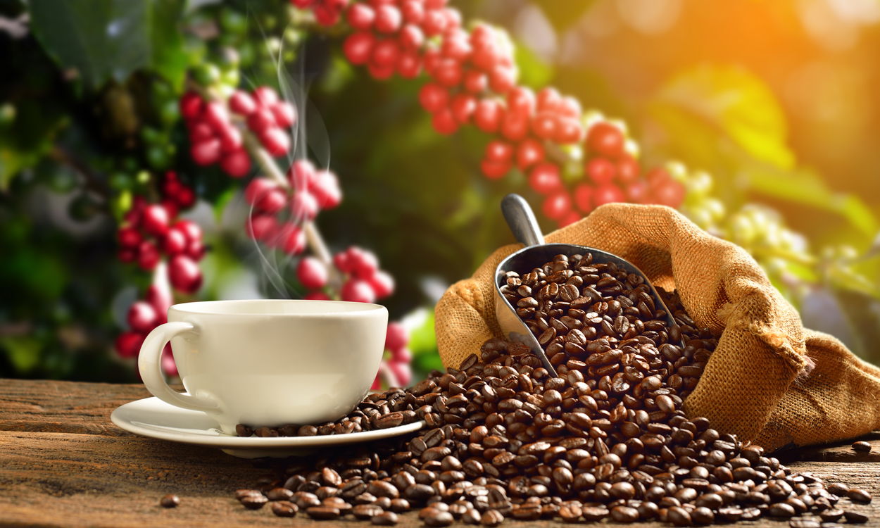 Morgendlicher Kaffee könnte Herzgesundheit fördern