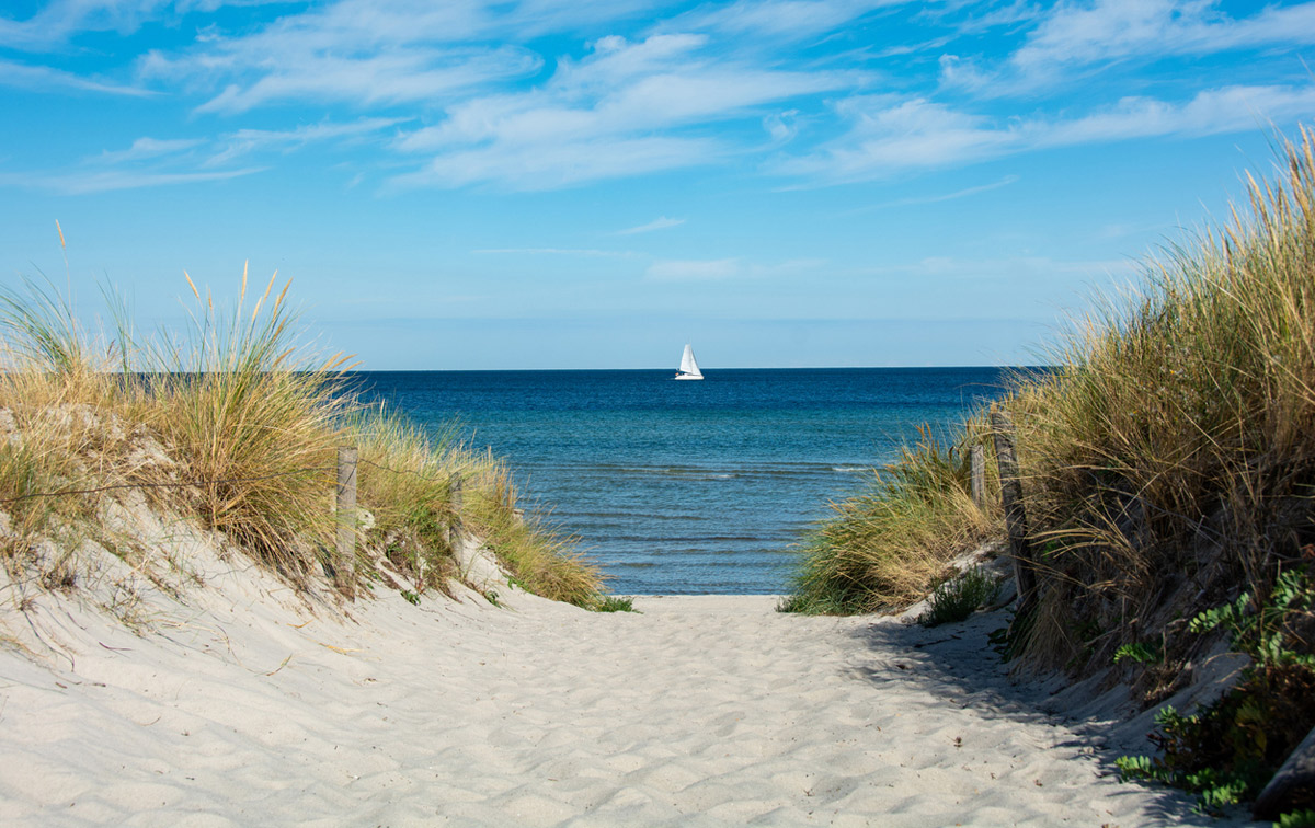 Ostsee: Multiresistente Erreger nachgewiesen