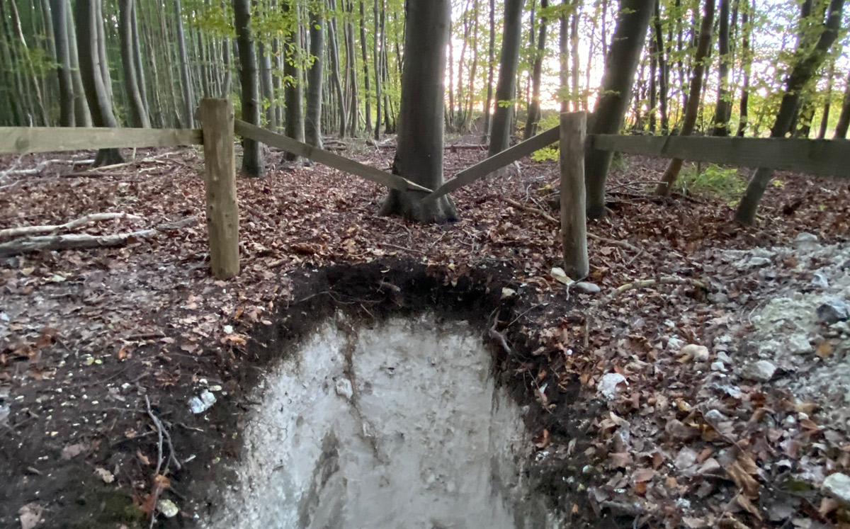 Rendzina ist Boden des Jahres 2025