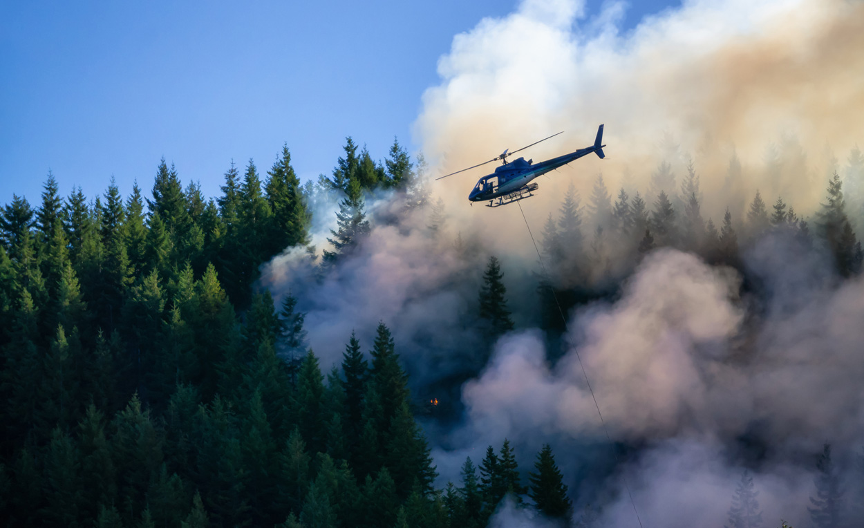 Waldbrände verändern lokales Klima für Jahrzehnte