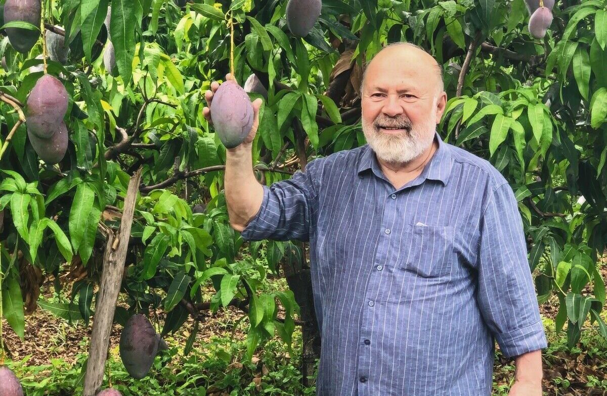 Brasiliens Obstwunder