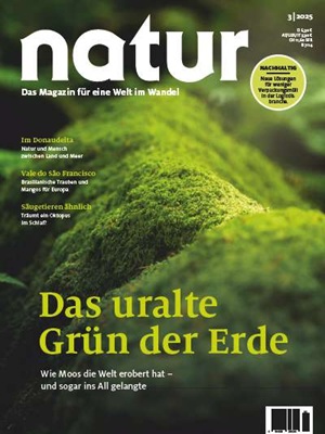 Das uralte Grün der Erde