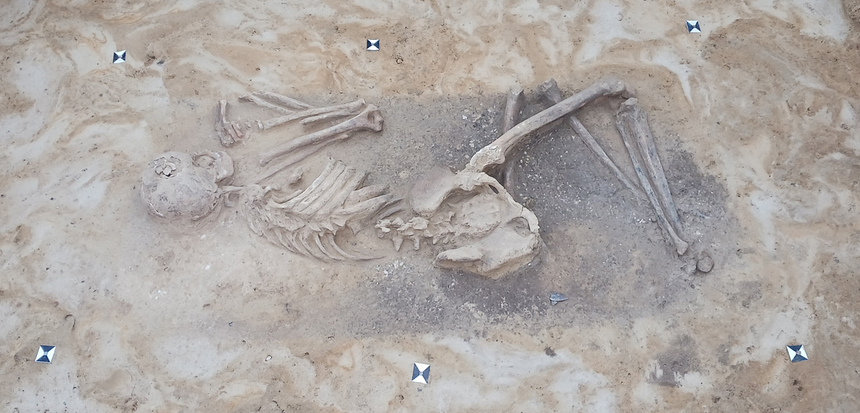 Gräber von jungsteinzeitlichen Kriegern entdeckt