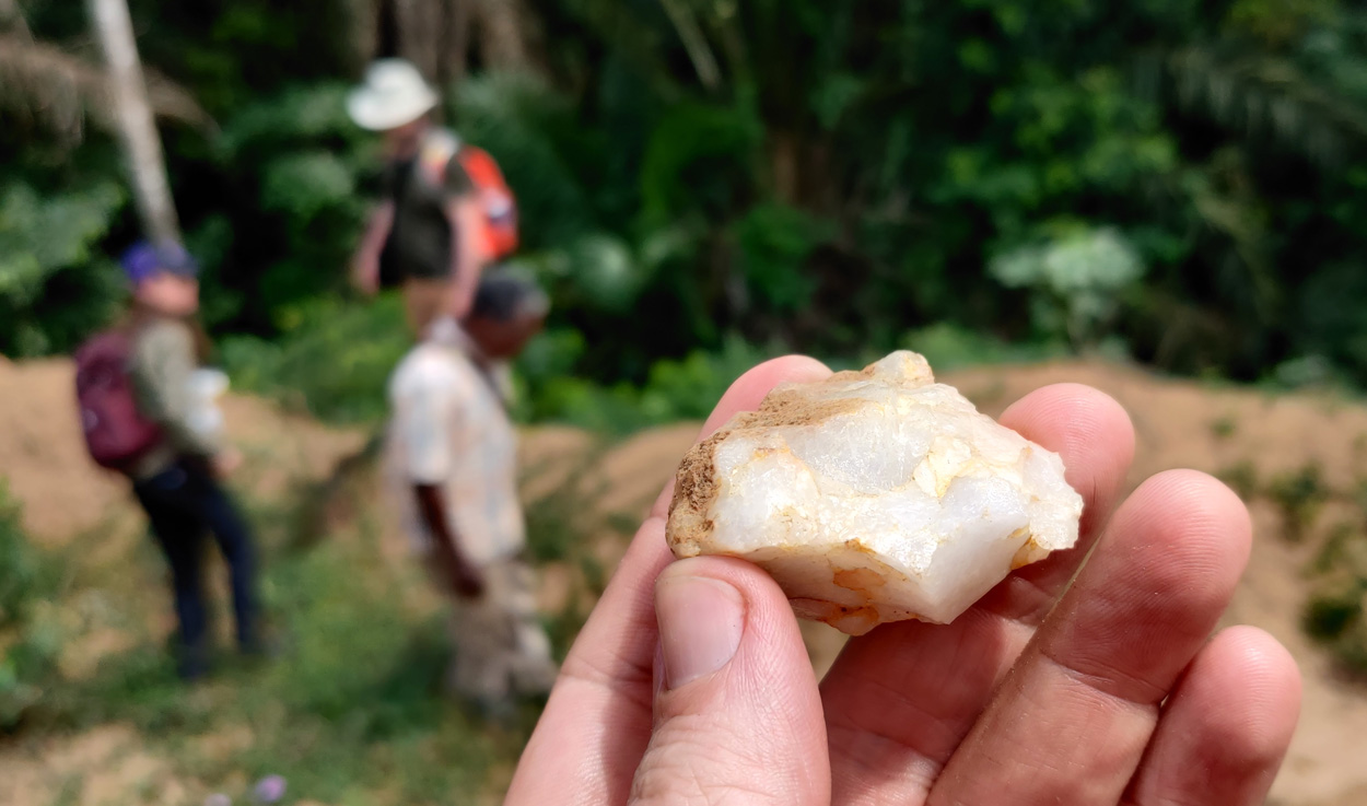 Menschen lebten schon vor 150.000 Jahren im Regenwald
