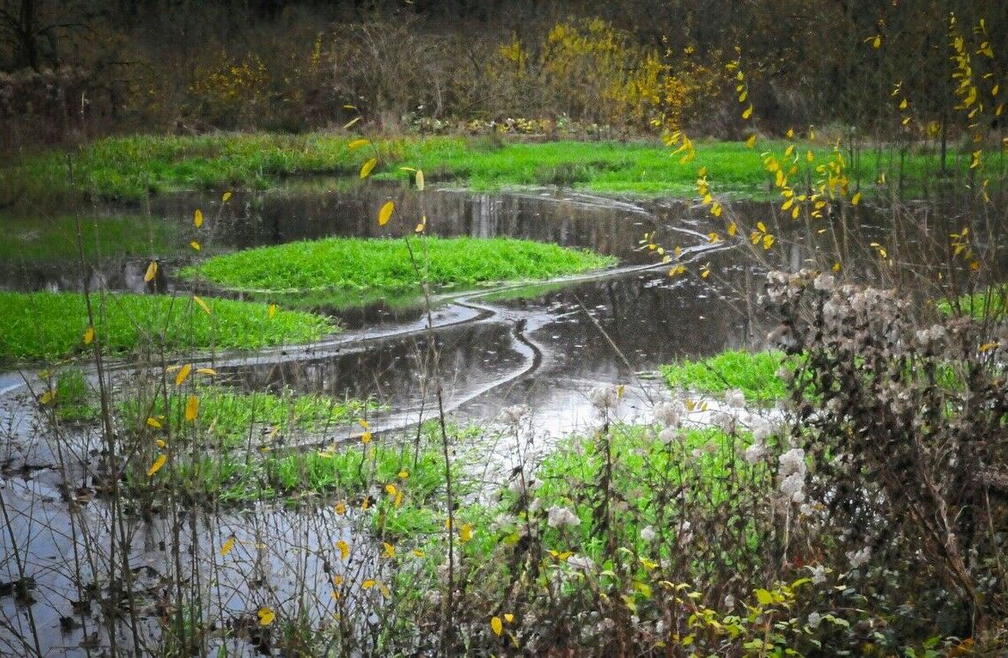 Auf dem Weg des Wassers