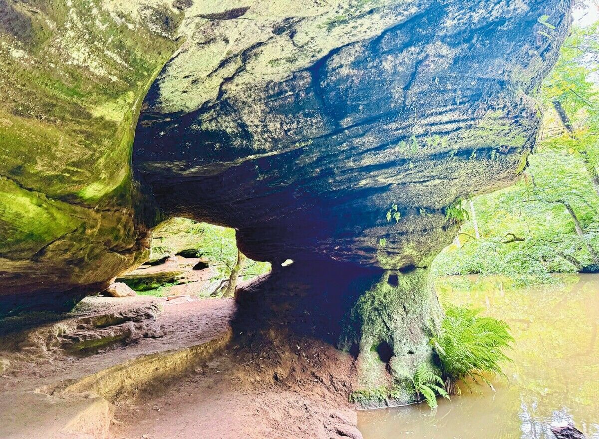 Die Natur im Blick