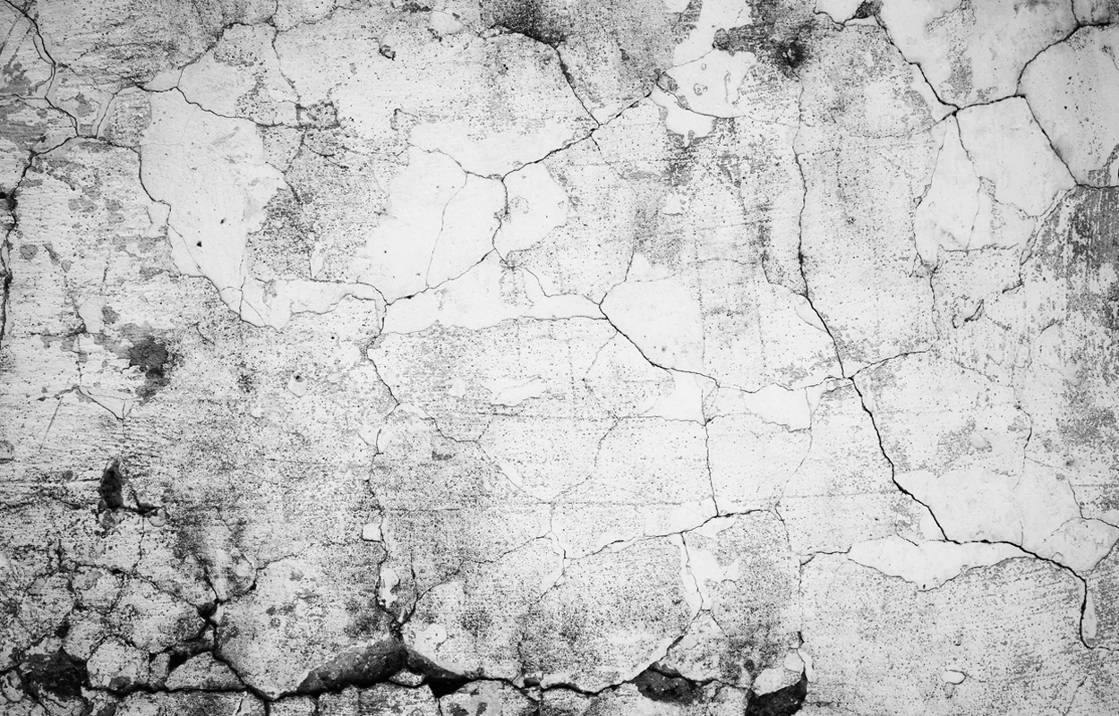 Lebendiger Biozement auf Pilzbasis repariert sich selbst