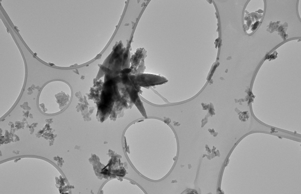 Mikroplastik in verstopften Halsschlagadern gefunden