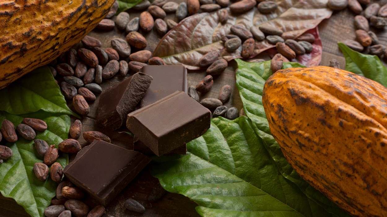 Wie sozial und nachhaltig sind Fairtrade-Süßigkeiten?